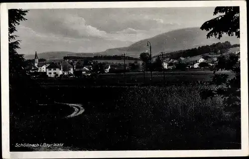 Ak Schöllnach in Niederbayern, Ortsansicht