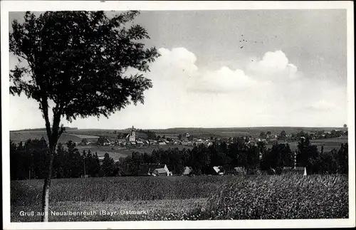 Ak Neualbenreuth in der Pfalz, Gesamtansicht