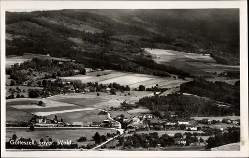 Ak Gotteszell im Bayerischen Wald Niederbayern, Panorama