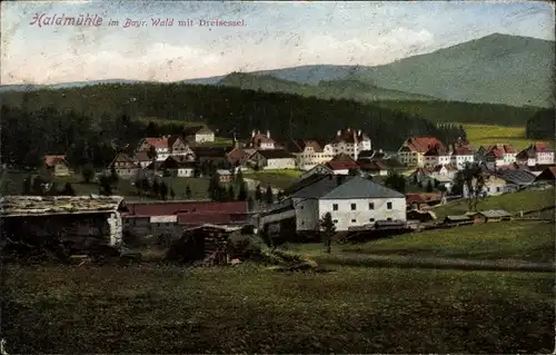 Ak Haidmühle Bayrischer Wald Niederbayern, Ortsansicht, Dreisessel