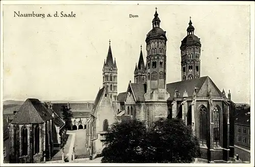 Ak Naumburg an der Saale, Blick auf den Dom