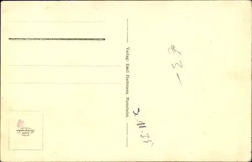 Ak Villingen im Schwarzwald, Altes Rathaus, Riettor, Münster, Schafe