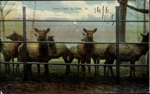 Ak Saint Louis Missouri USA, Forest Park