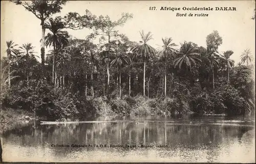 Ak Dakar Senegal, Blick zum Flussufer, Palmen