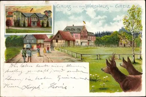 Litho Greiz in Thüringen, Fürstliches Jagdschloss, Waldhaus, Wild