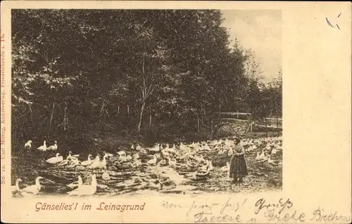 Ak Finsterbergen Friedrichroda Thüringen, Gänseliesl im Leinagrund