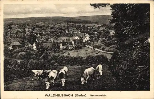 Ak Waldhilsbach Neckargemünd am Neckar, Gesamtansicht