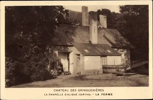 Ak La Chapelle d'Aligne Sarthe, Chateau des Gringuenieres, The Farm