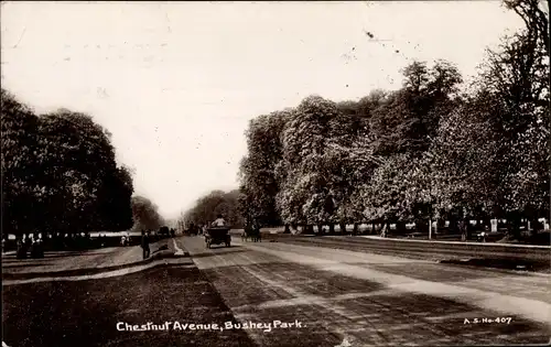 Ak London England, Chestnnut Avenue, Bushey Park