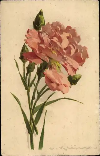 Künstler Ak Klein, Catharina, Blühende hellrote Blumen