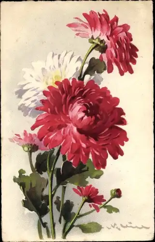 Künstler Ak Klein, Catharina, Rote Blumen, Chrysanthemen