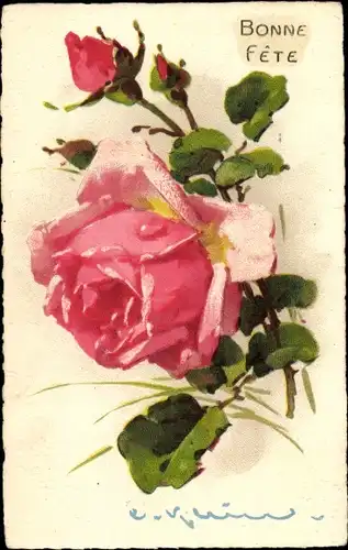 Künstler Litho Klein, Catharina, Glückwunsch, Rosenblüte