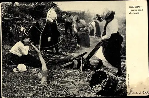 Ak Frauen sammeln Holz für ein Lagerfeuer, Korb mit Kartoffeln