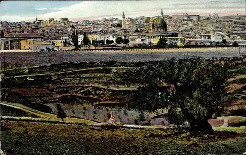 Ak Jerusalem, Totalansicht, Stadtmauer, Grünfläche, Stadt