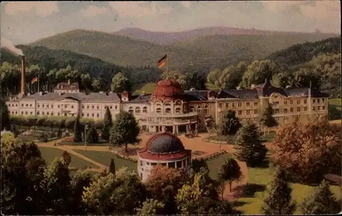 Ak Bad Wildungen in Hessen, fürstliches Badehotel, Flaggen