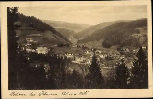 Ak Todtmoos im Schwarzwald, Panorama