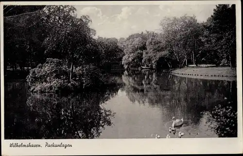 Ak Wilhelmshaven an der Nordsee, Parkanlagen, Schwan