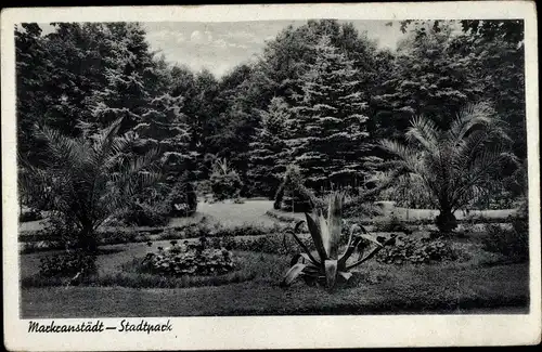 Ak Markranstädt in Sachsen, Stadtpark