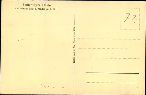 Ak Müden an der Örtze Faßberg Lüneburger Heide, Wietzer Berg, Bäume