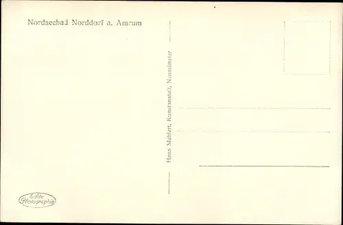 Ak Norddorf auf Amrum Nordfriesland, Dünen