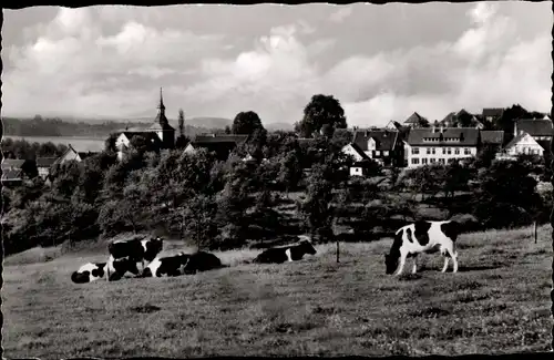 Ak Dhünn Wermelskirchen, Teilansicht, weidende Kühe