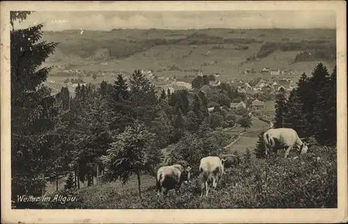 Ak Weiler Simmerberg im Allgäu, Rinder, Panorama, Alpen