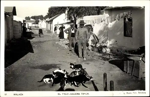 Ak Malaga Andalusien Spanien, El Palo Typische Szene, Katzen