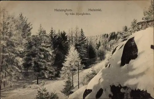 Ak Helsinki Helsingfors Finnland, Blick von Djurgården, Wintermotiv