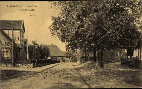 Ak Harsefeld in Niedersachsen, Herrenstraße