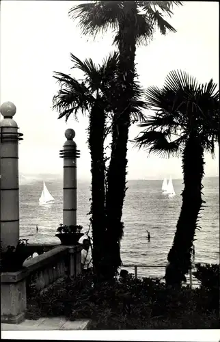 Ak Opatija Abbazia Kroatien, Blick durch die Palmen aufs Meer