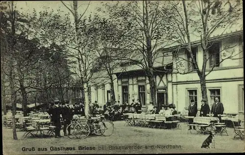 Ak Briese Birkenwerder im Kreis Oberhavel, Gasthaus Briese, Garten, Gäste