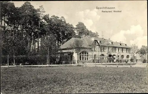 Ak Spechthausen Eberswalde in Brandenburg, Restaurant Waldhof