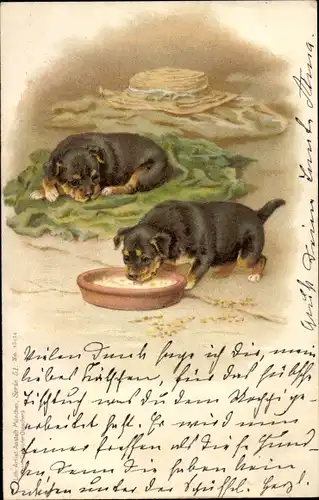 Litho Zwei kleine Hundewelpen