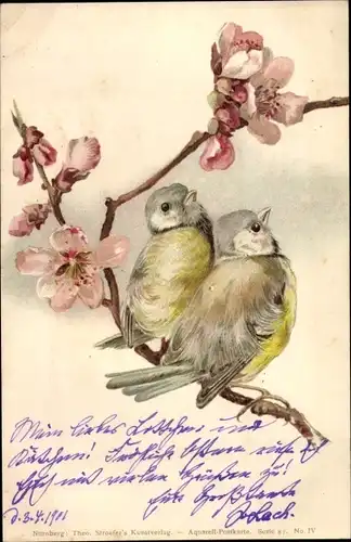 Litho Vögel, Meisen auf einem Blütenzweig