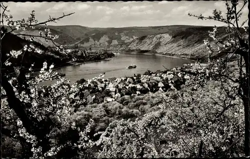 Ak Kamp Bornhofen am Rhein, Panorama, Schiff