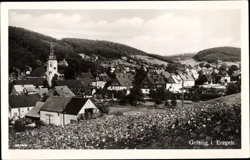 Ak Geising Altenberg im Erzgebirge, Gesamtansicht