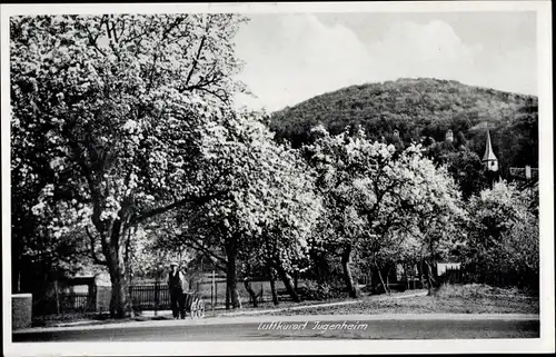 Ak Jugenheim an der Bergstraße Hessen, Teilansicht, Kirche