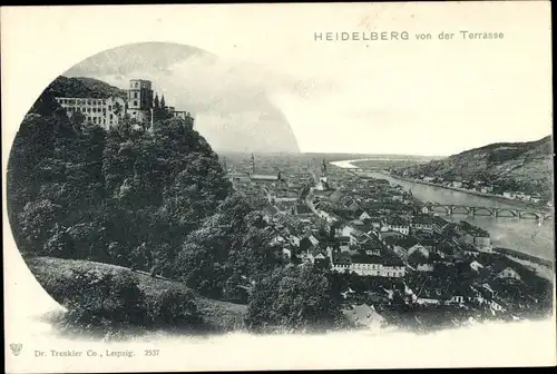 Ak Heidelberg am Neckar, von der Terrasse, Schloss, Panorama