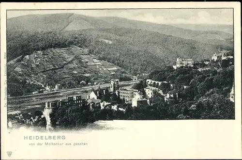 Ak Heidelberg am Neckar, von der Molkenkur aus, Panorama