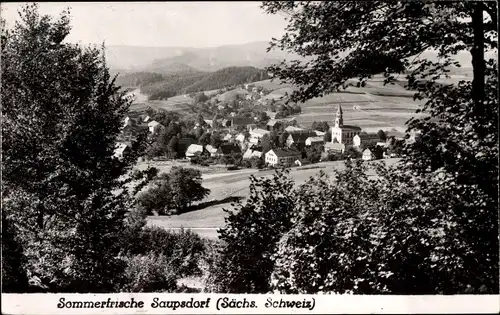 Foto Ak Saupsdorf Sebnitz Sächsische Schweiz, Ortsansicht