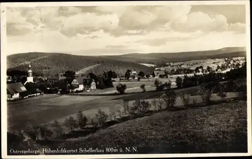 Ak Schellerhau Altenberg im Erzgebirge, Panorama