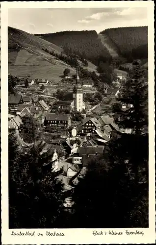 Ak Lautenthal Langelsheim im Harz, Blick vom kleinen Bromberg