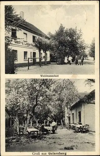 Ak Sępów Geiersberg Niederschlesien, Gasthaus Weidmannslust