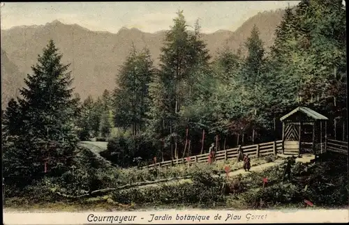 Ak Courmayeur Valle D'Aosta Italien, Botanischer Garten Plau Gorret