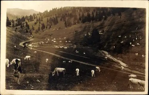 Foto Ak Kühe auf der Wiese, Hirt, Landwirtschaft