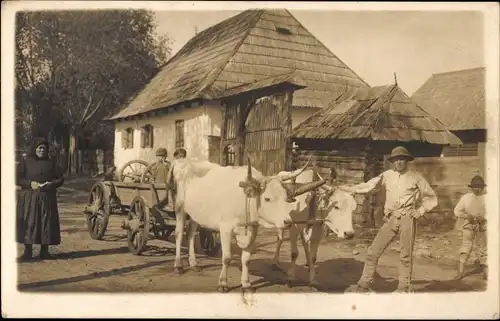 Foto Ak Fuhrwerk, Kühe, Bauern, Straßenpartie, Wohnhaus