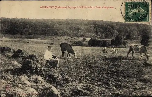 Ak Apremont Ardennes, Paysage a la lisiere de la Foret d'Argonne