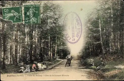 Ak Jupilles Sarthe, Forêt de Bercey, Côte de la Jument Blanche