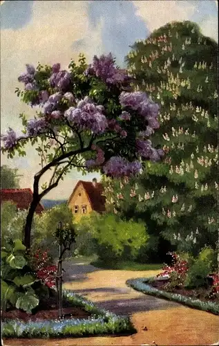 Ak Park, Blühende Bäume, Wohnhaus, Straße