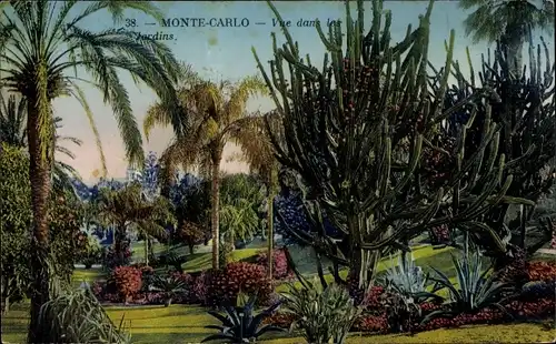 Ak Monte Carlo Monaco, Garten, Kakteen, Palmen